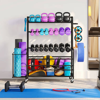 Exercise equipment 2024 storage rack